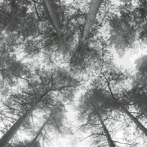 Traveller song/Thanksong